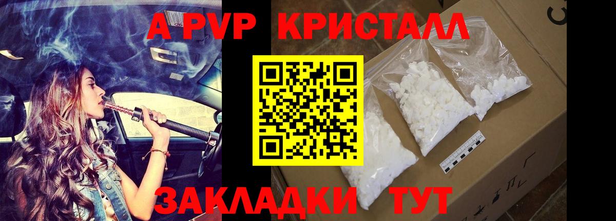 A PVP СК КРИС Аргун