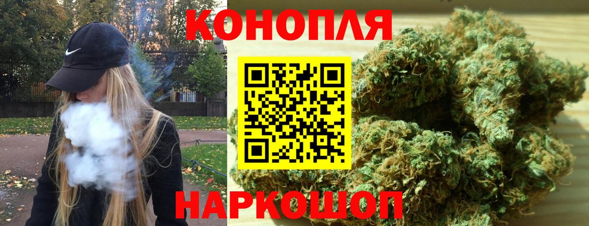 Каннабис конопля Аргун